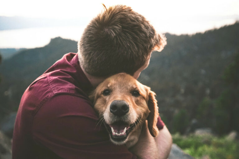 eric-ward-ISg37AI2A-s-unsplash(1)