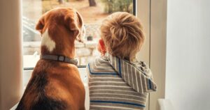 little boy with best friend looking through window