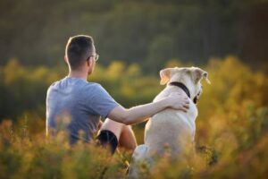 Man sitting with dog on meadow. Pet owner embracing his labrador retriever in grass.