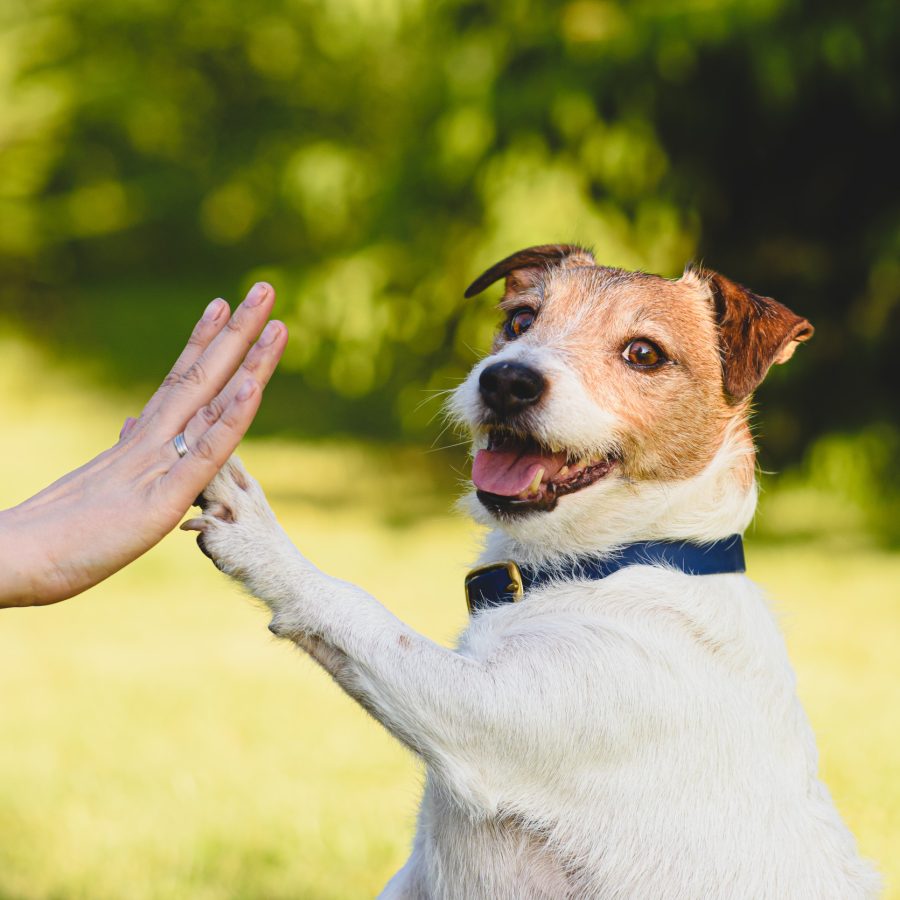 iStock-2098895574(1)
